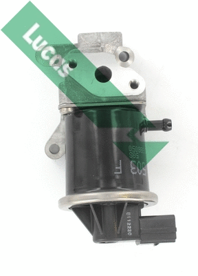 EGR Valve (FDR393)