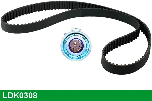 Timing Belt Kit (LDK0308)