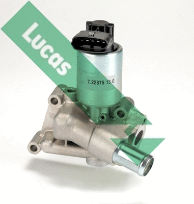 EGR Valve (FDR133)
