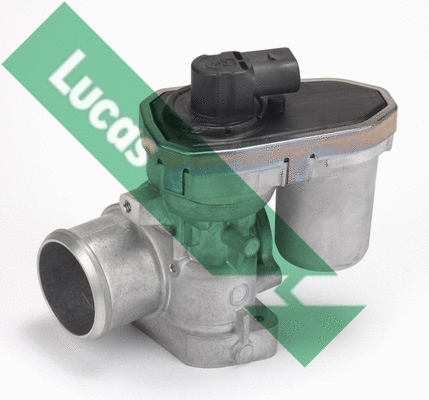 EGR Valve