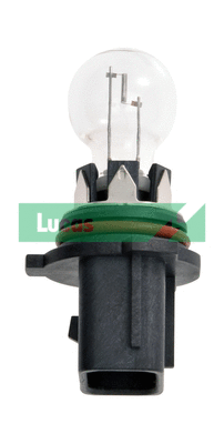 Bulb, daytime running light (LLB184)
