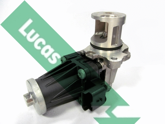 EGR Valve (FDR439)
