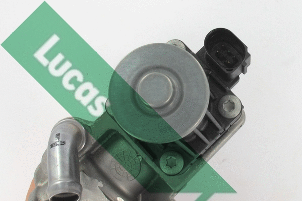 EGR Valve (FDR383)