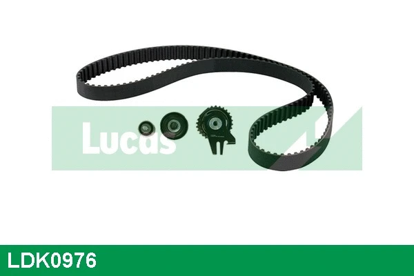 Timing Belt Kit (LDK0976)