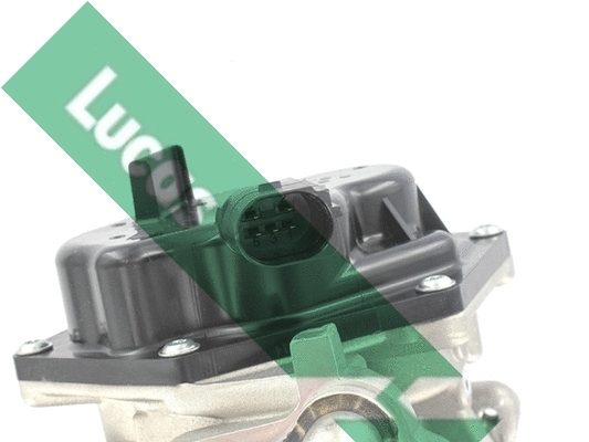 EGR Valve