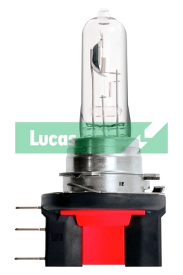 Bulb, daytime running light (LLB196)