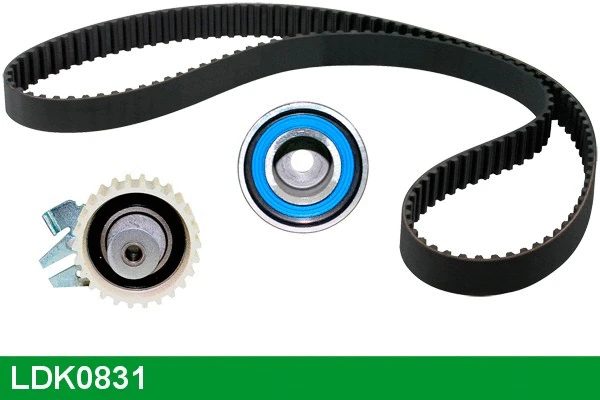 Timing Belt Kit (LDK0831)