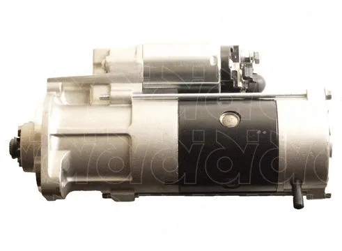 Starter (CGB-23181)