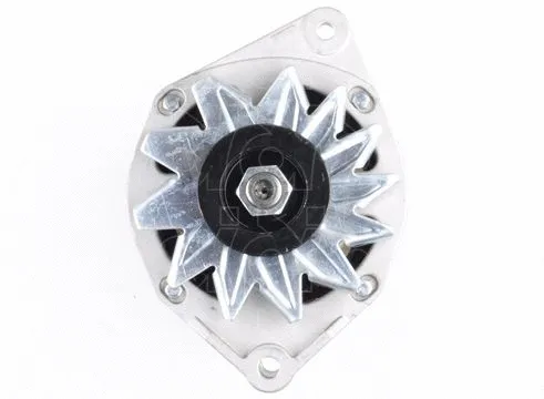 Alternator (CGB-13247)