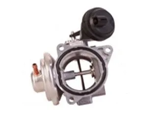 EGR Valve (CGB71-0031)