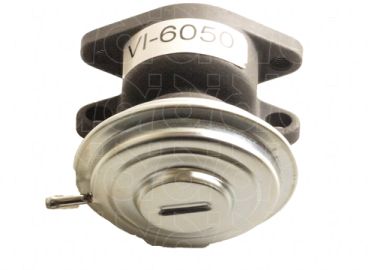 EGR Valve (VI-6050)