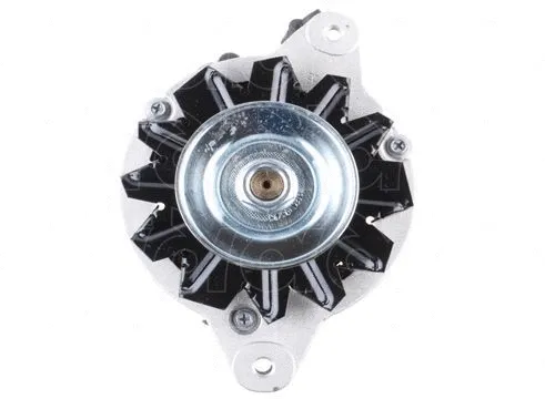 Alternator (CGB-13004)
