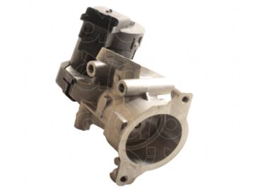 EGR Valve (VI-6038)
