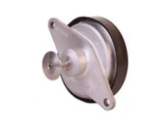 EGR Valve (CGB71-0030)