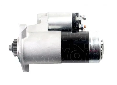 Starter (CGB-98381)