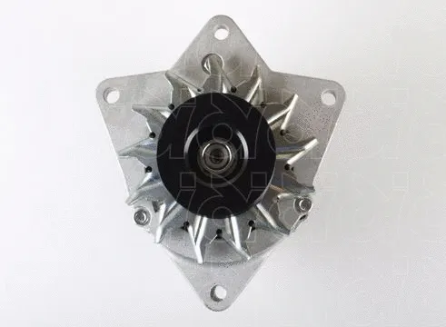 Alternator (66021134)