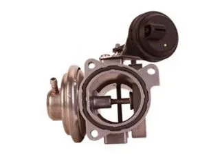 EGR Valve (CGB71-0026)