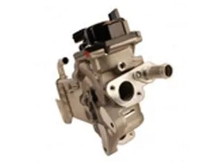 EGR Valve (CGB73-0098)