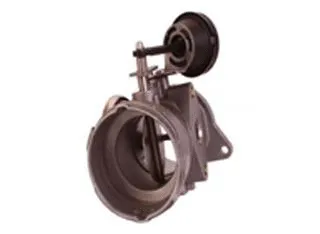 EGR Valve (CGB71-0021)