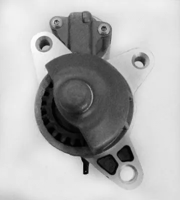 Starter (20-100-01006)