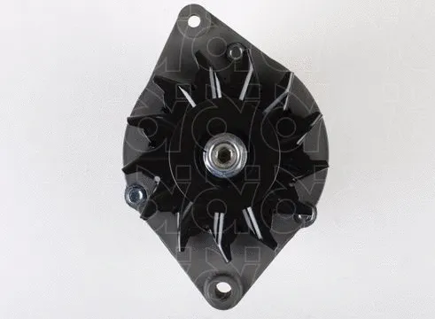 Alternator (66021151M)