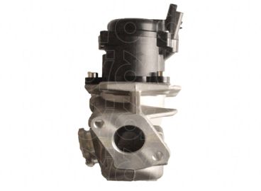 EGR Valve (VI-6010)
