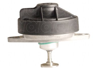 EGR Valve (VI-6004)