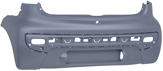 Bumper (C1-05300)
