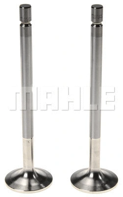 Intake Valve (211-4305)