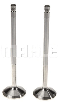 Exhaust Valve (211-4304)