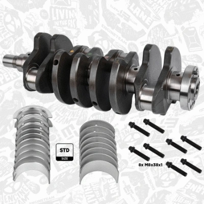 Crankshaft (HK0205VR1)