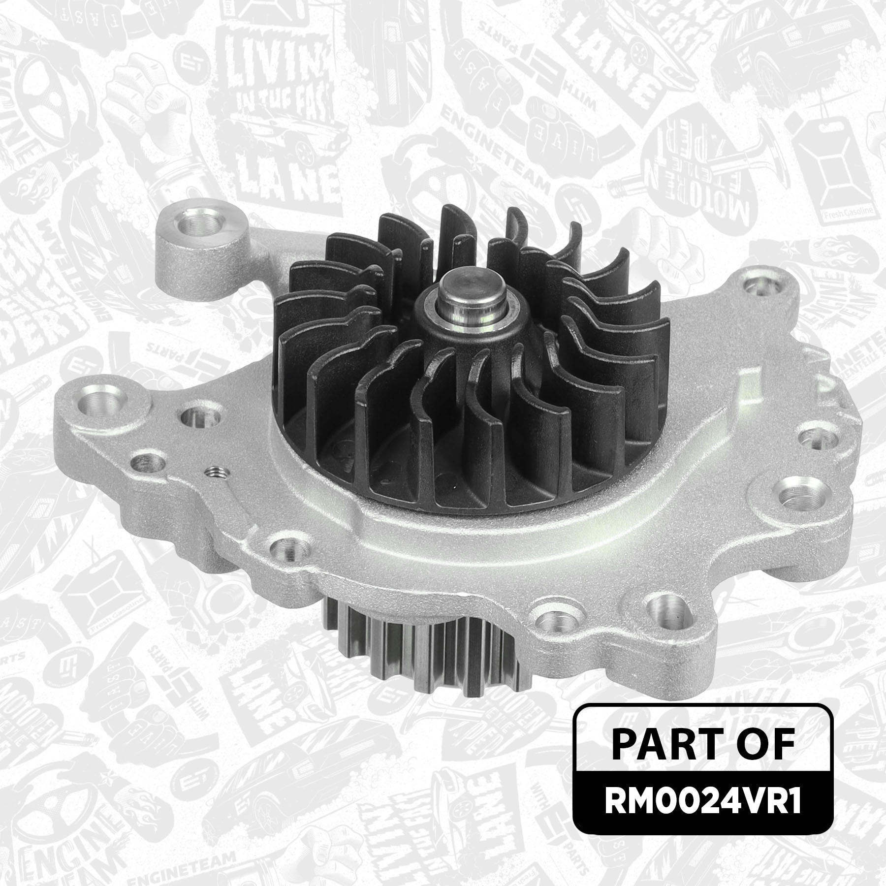 Water Pump & Timing Belt Kit