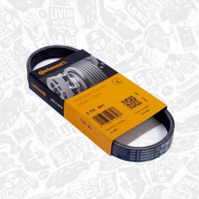 Water Pump + V-Ribbed Belt Kit