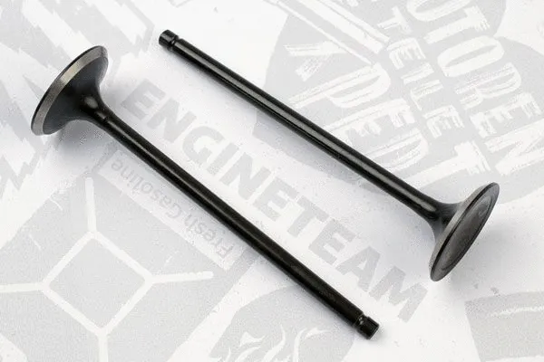 Exhaust Valve