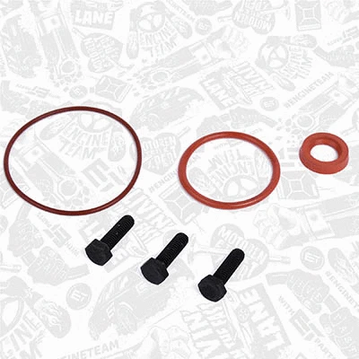 Repair Set, vacuum pump (braking system) (TM0027)