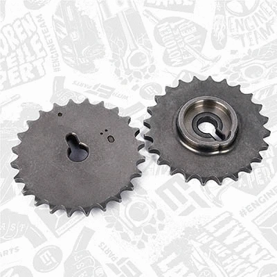 Timing Chain Kit