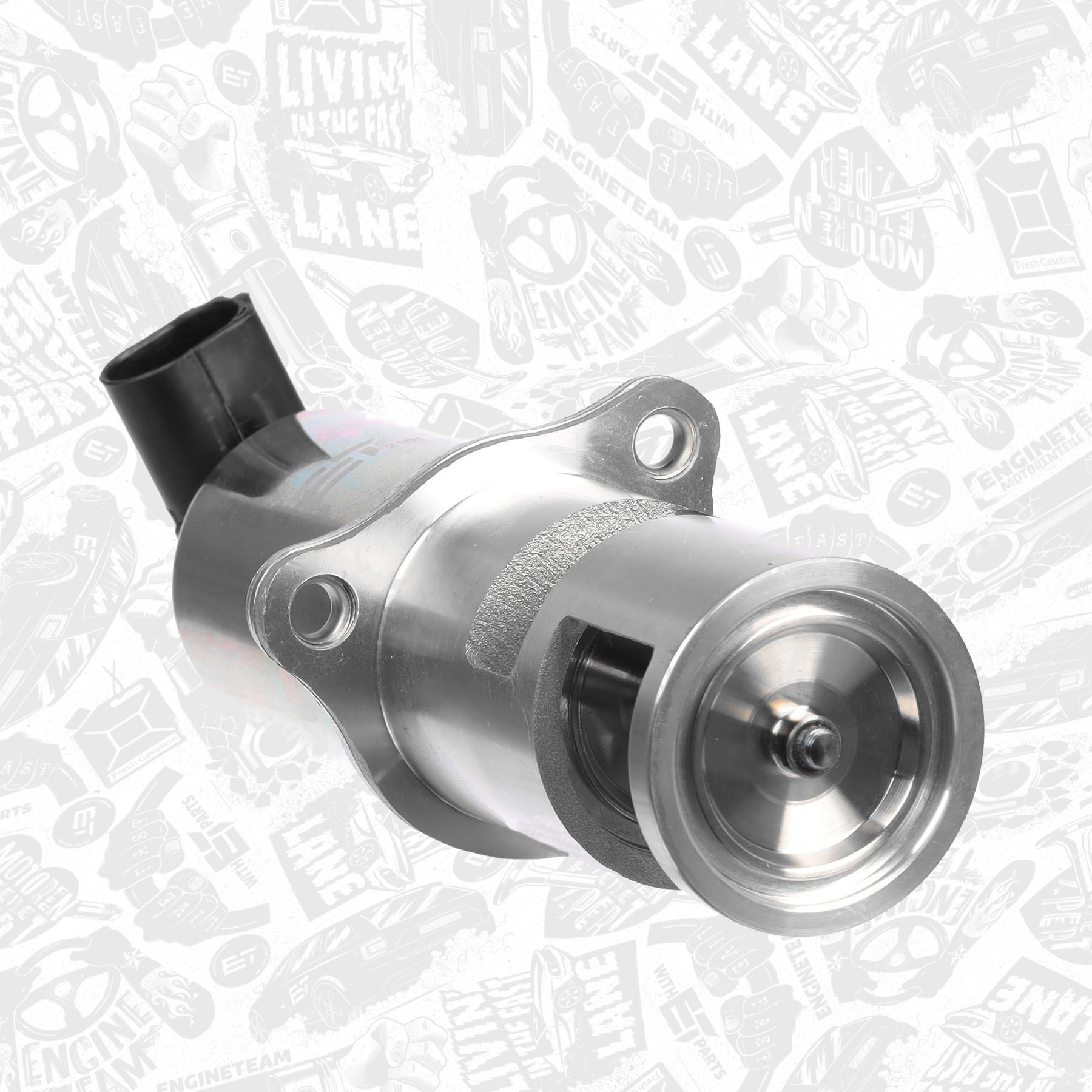 EGR Valve