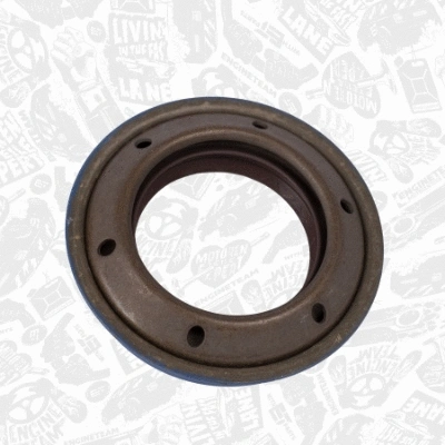 Shaft Seal, differential