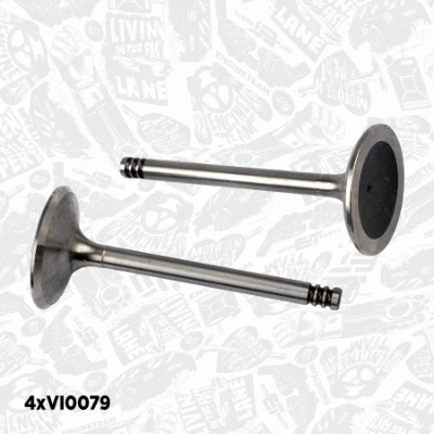 Valve Kit, intake/exhaust valve