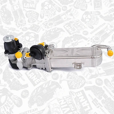 EGR Valve