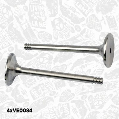 Valve Kit, intake/exhaust valve