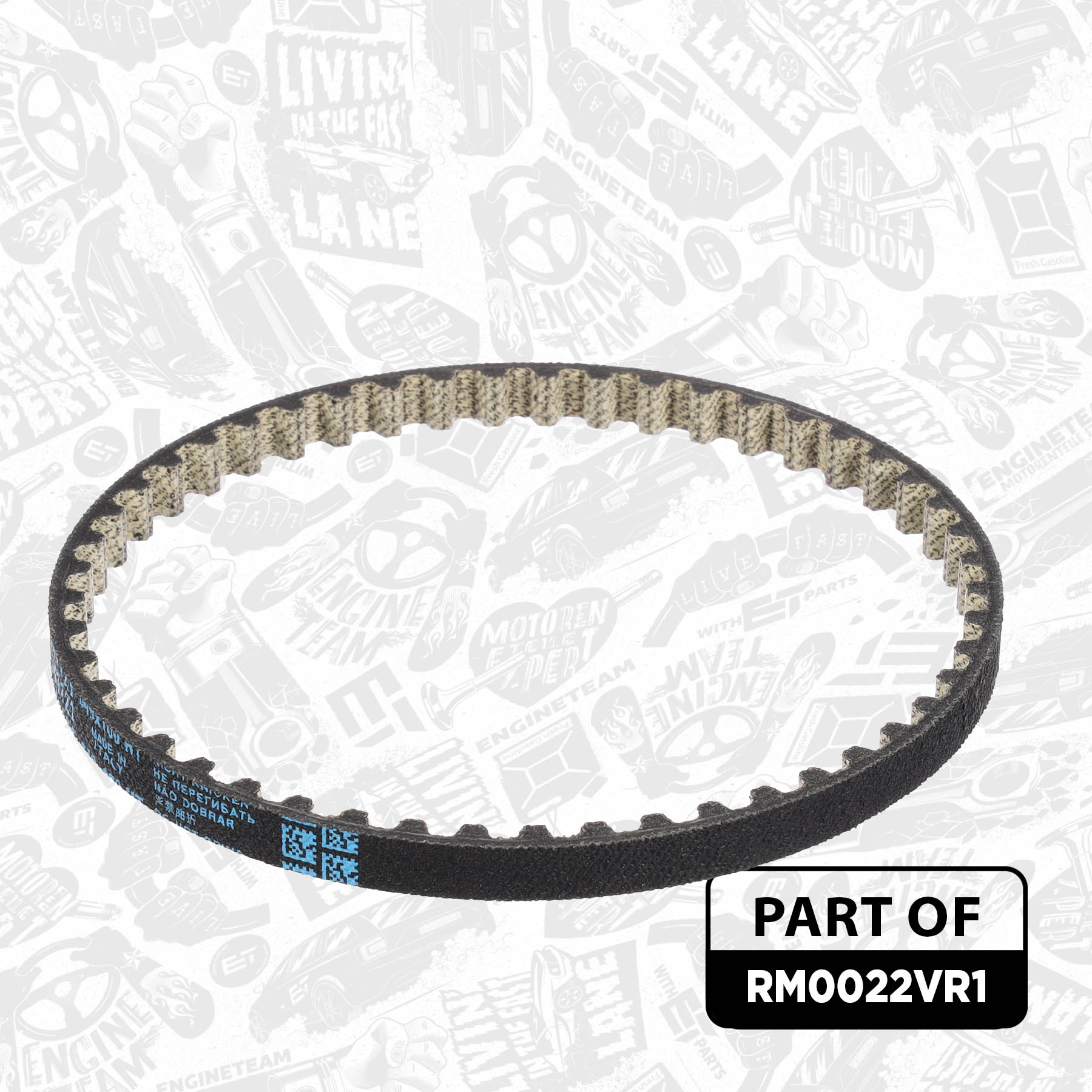 Timing Belt Kit