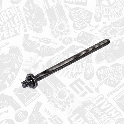 Gasket, cylinder head