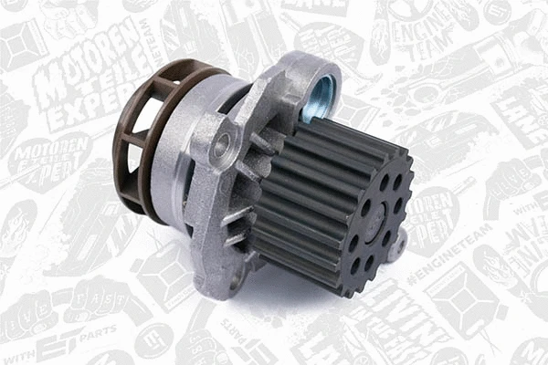 Water Pump & Timing Belt Kit