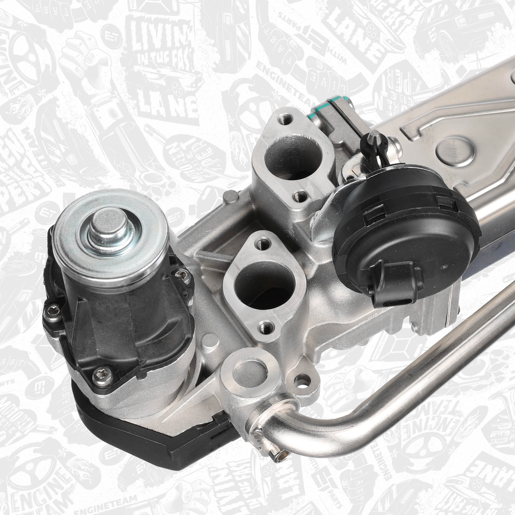 EGR Valve