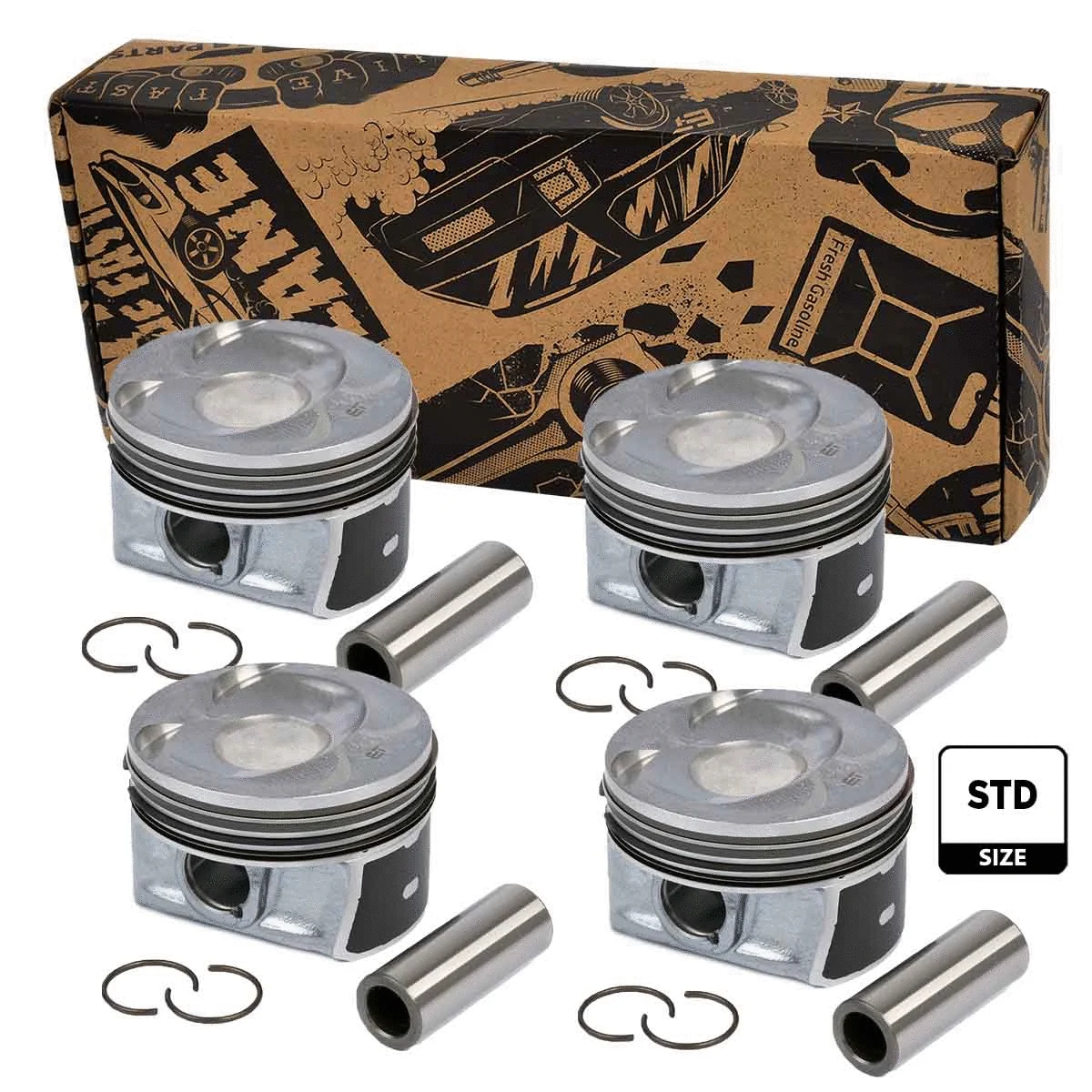 Piston Set (PM004800ETVR1)