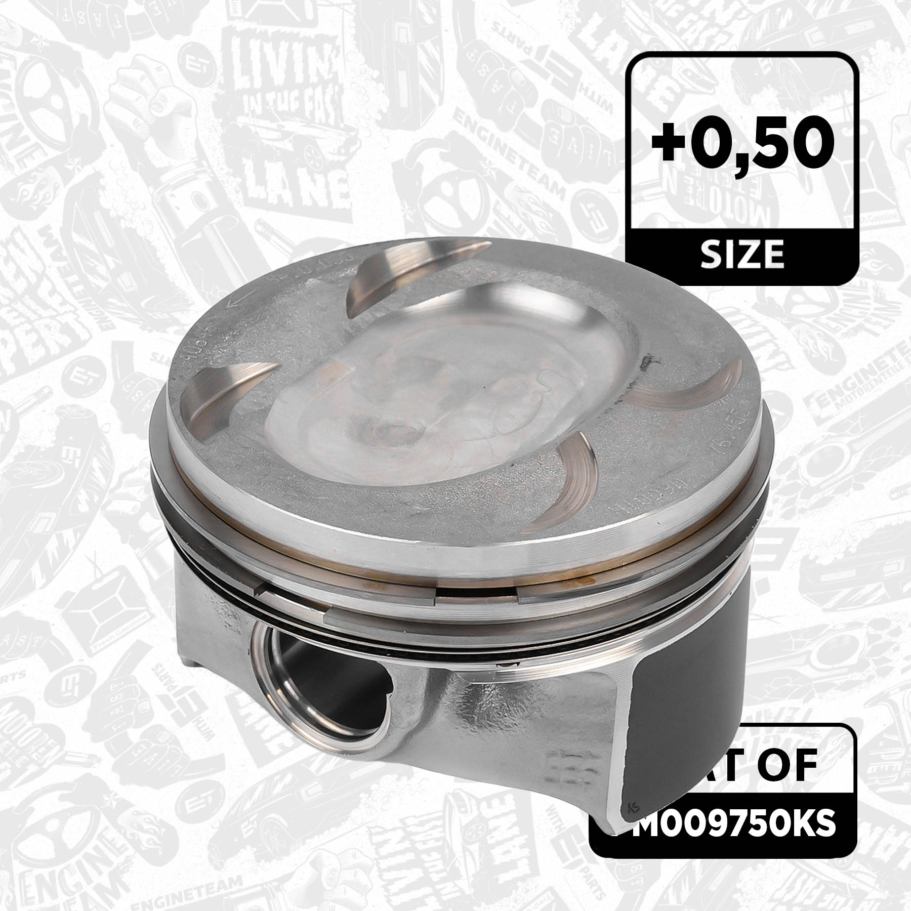 Piston Set