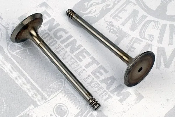 Intake Valve