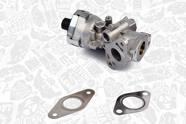 EGR Valve (ED0047)