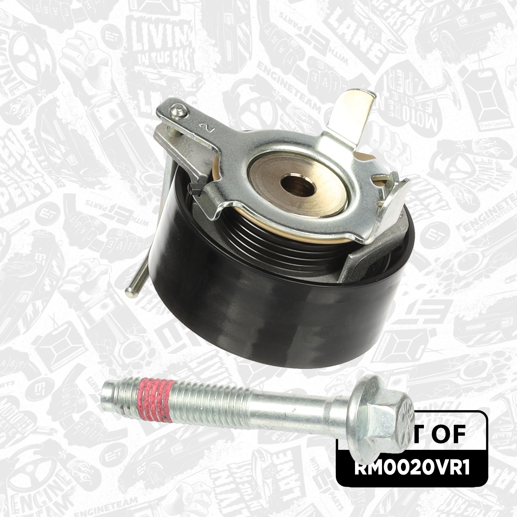 Timing Belt Kit